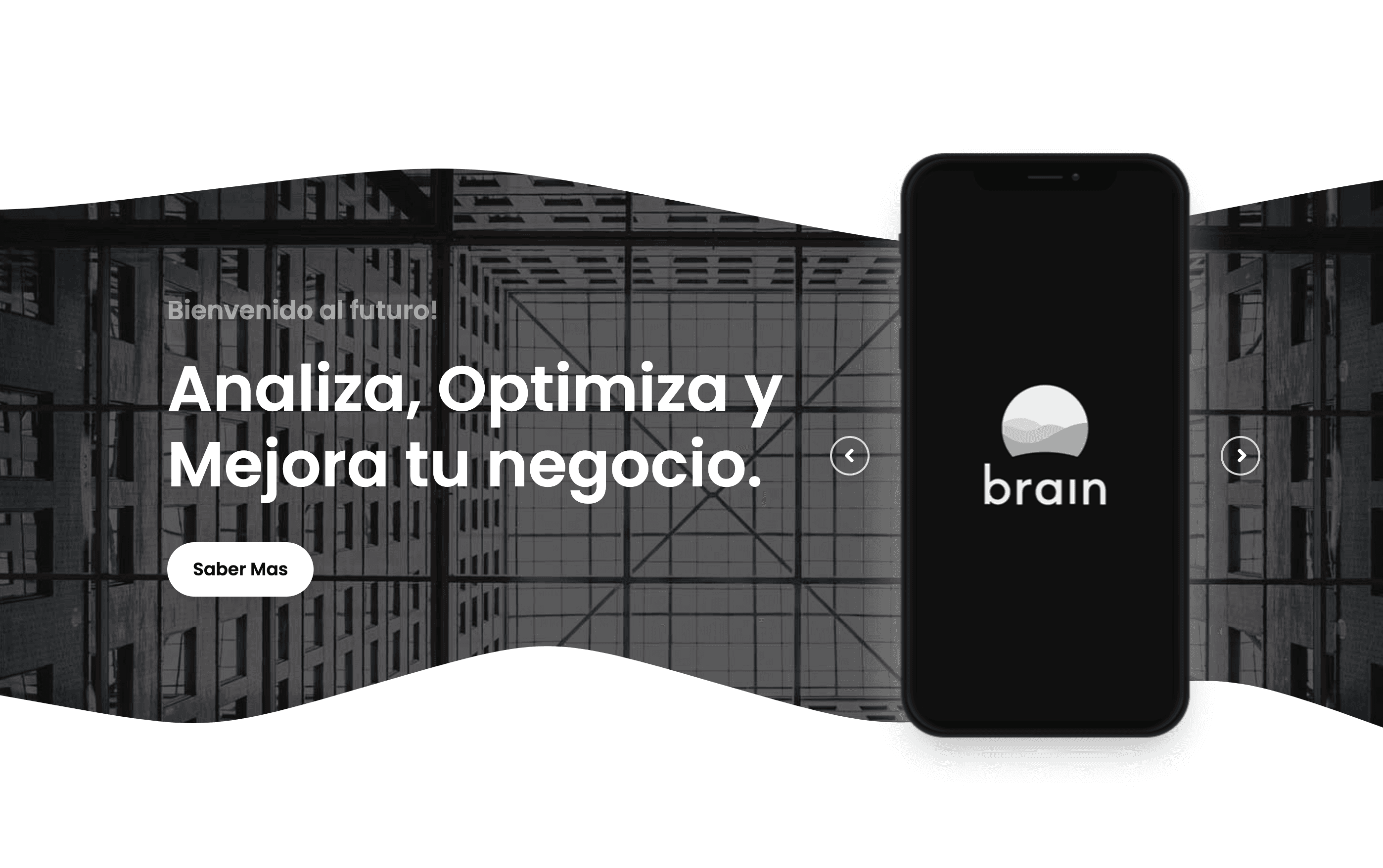 Brain - Image 3